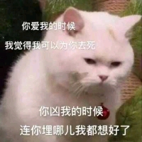 反差
