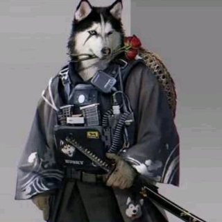 一刀流哈哥