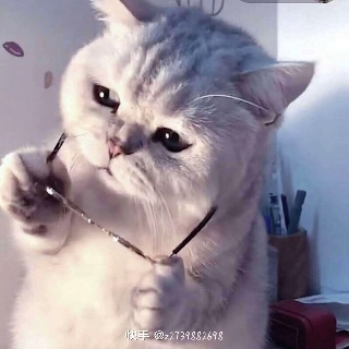 星辉