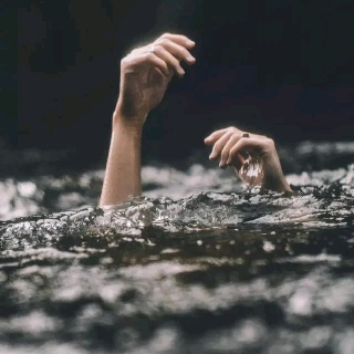水晶兰