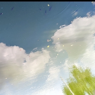 焦虑终结者