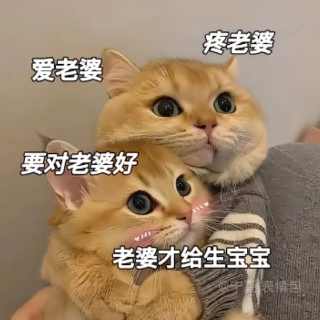 小浩真的好