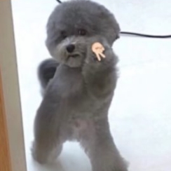 烦烦修勾