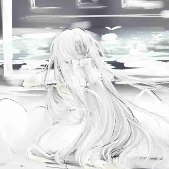 ₅₂₁芯₅₂ₒ 