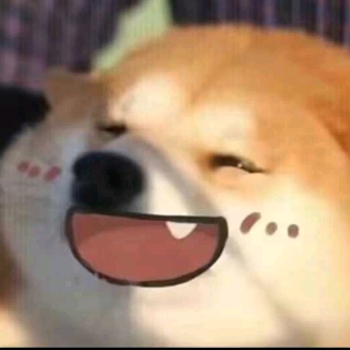 阿妮