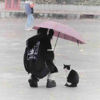 沅沅子