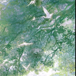 蓝格子