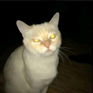 鱼幼薇
