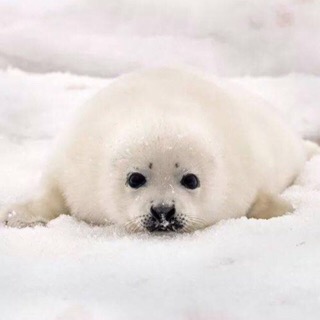 悠然