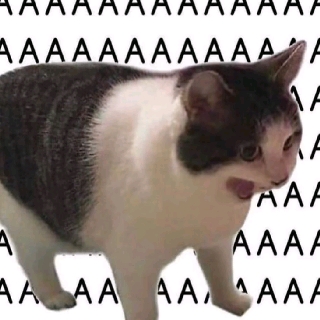 爱慕
