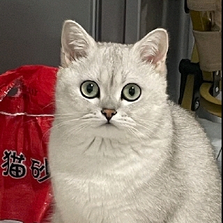 元宝