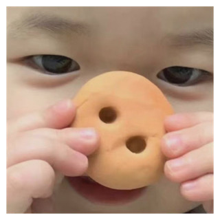 聪明猪猪