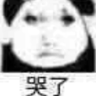 丁浩萍