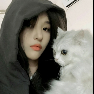 璨林