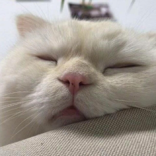 可乐不加冰