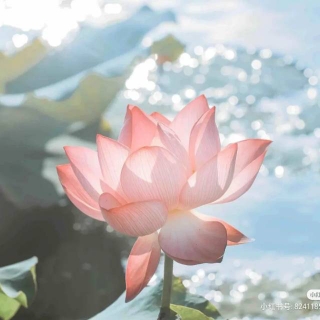 海绵宝宝不开心