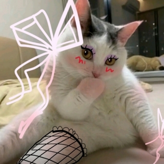 老板的绿帽头上带
