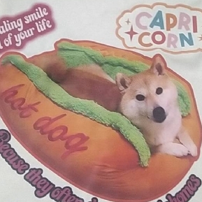 嘻嘻
