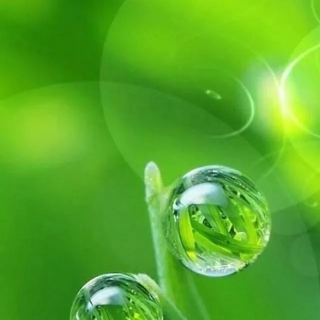 心雨吧