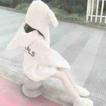 鲨鱼宝宝