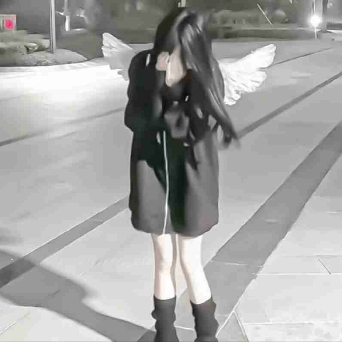 安羽辞.