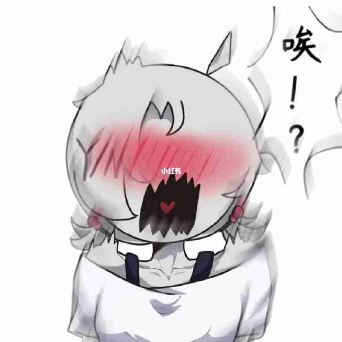 Y/N