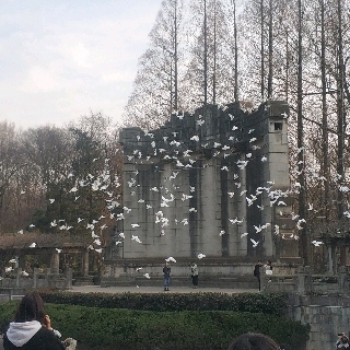 大爱