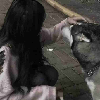 坏情绪丶