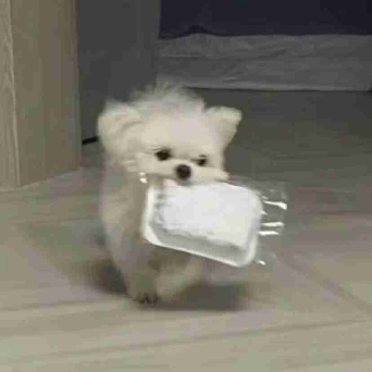 那晚没了安…