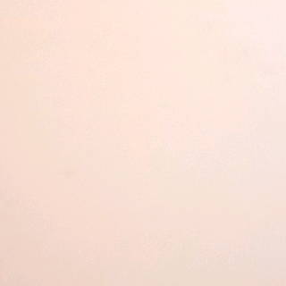 Tᶻˣ