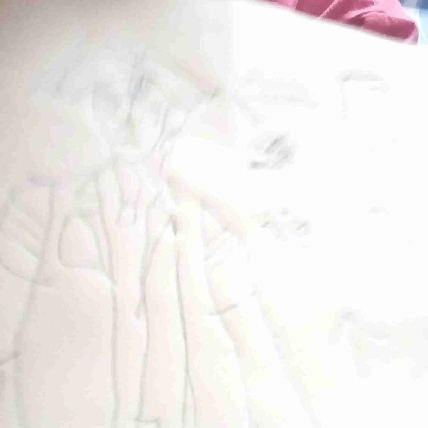 阿巴树洞