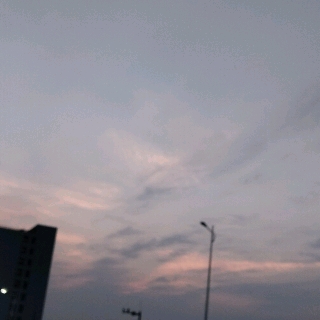 凉凉蔺安