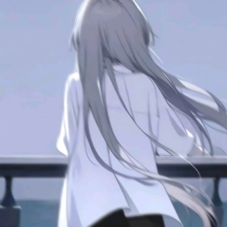 雨燕