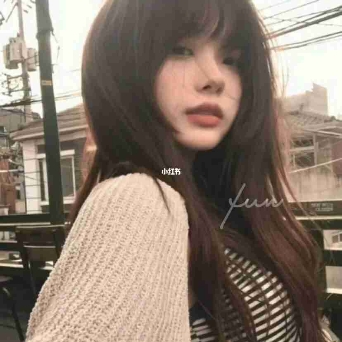 森林里的猫.