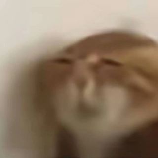 哦 ，