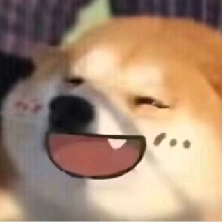 哈小乖