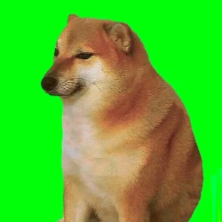 Cheems