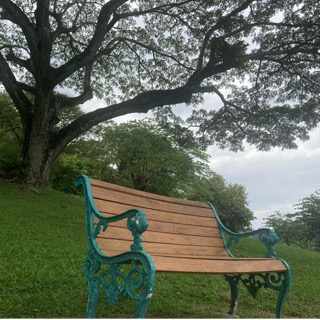 嘉丽