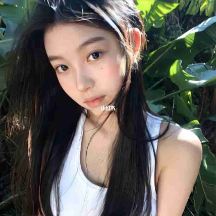 被骗的傻子