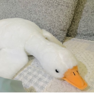 我是一只鹅