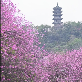 会发光的是灯泡💡