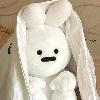 兔子🐰