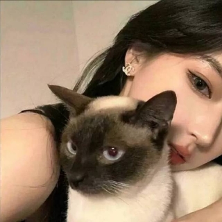 简希卡-