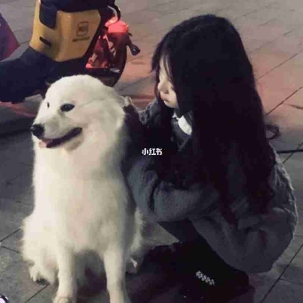南歌