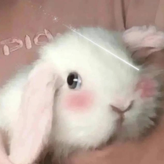 懒羊羊