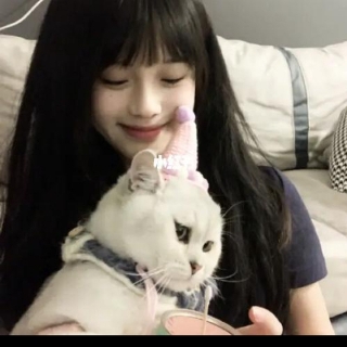 知知