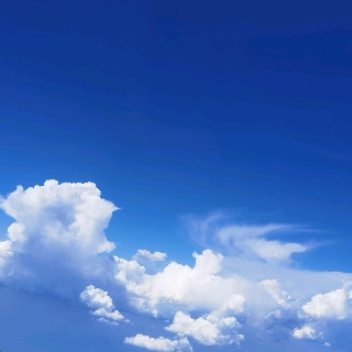 朝天骄