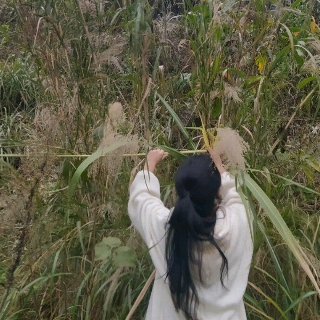 散发光芒