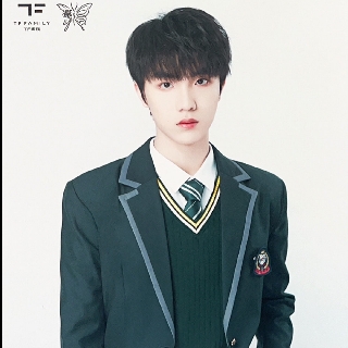TF家族-苏新皓