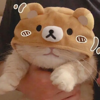 池鱼